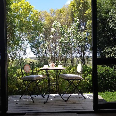 Dangela Boutique Lodge Auckland Pokój zdjęcie